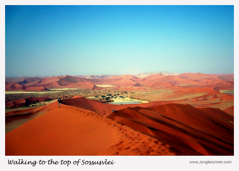 Walking to the Top of Sossusvlei